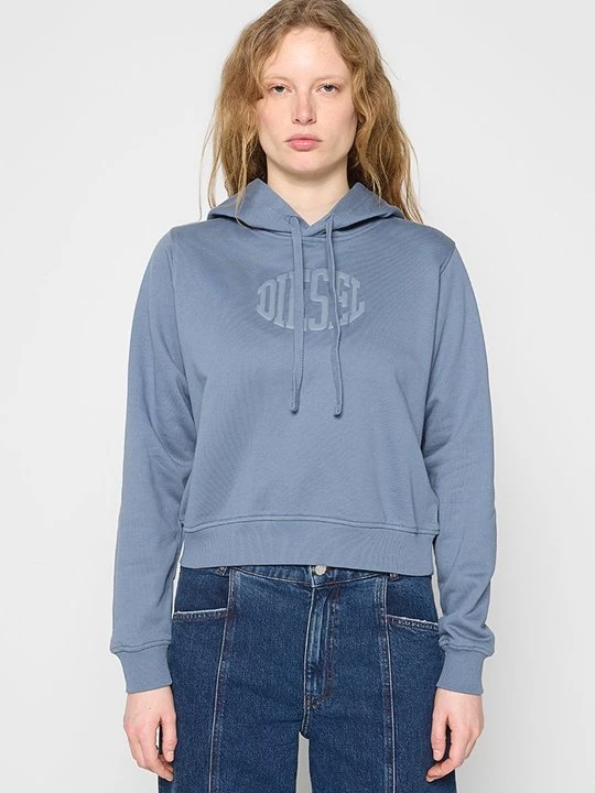 Foto van product Hoodie Diesel blauw gemêleerd