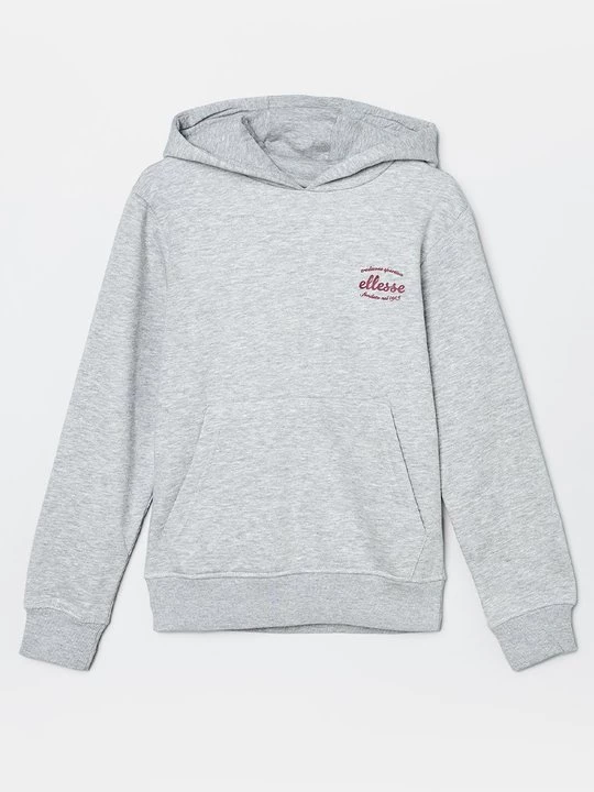 Foto van product Hoodie Ellesse lichtgrijs