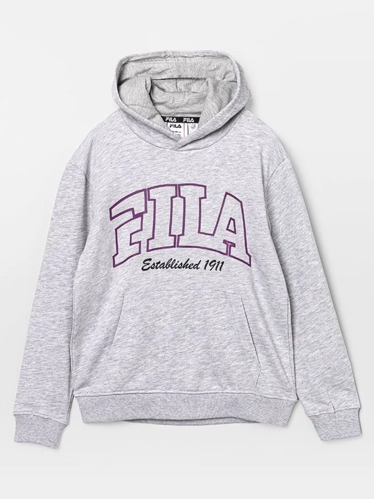Foto van product Hoodie Fila lichtgrijs