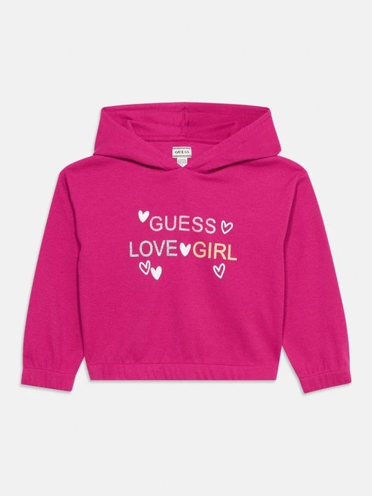 Foto van product Hoodie Guess paars