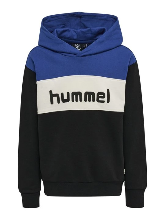 Foto van product Hoodie Hummel blauw