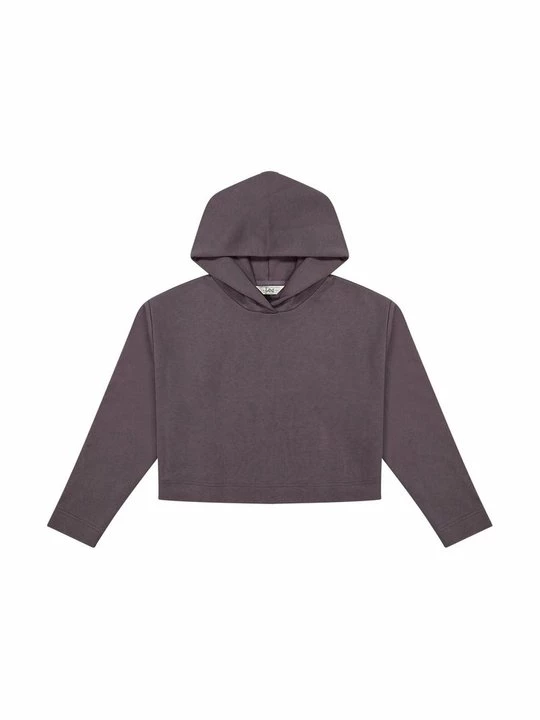 Foto van product Hoodie Lee donkerpaars