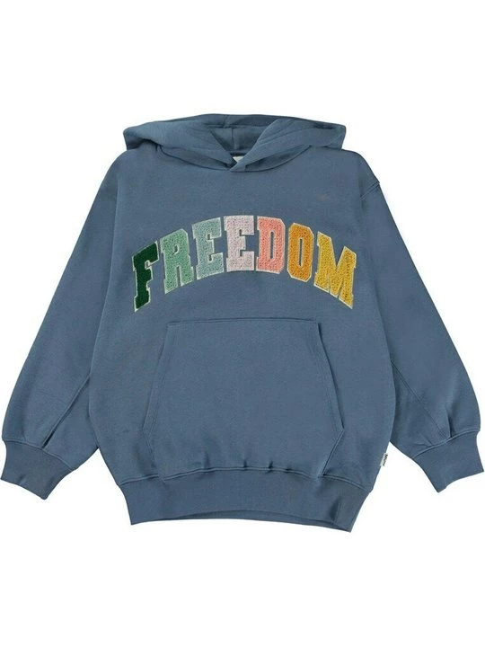 Foto van product Hoodie Molo blauw