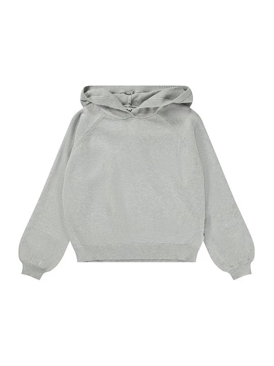Foto van product Hoodie Molo grijs