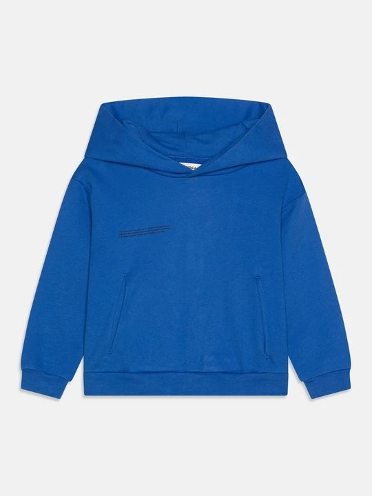 Foto van product Hoodie PANGAIA blauw