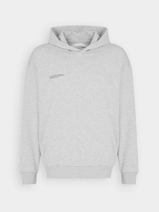 Foto van product Hoodie PANGAIA grijs