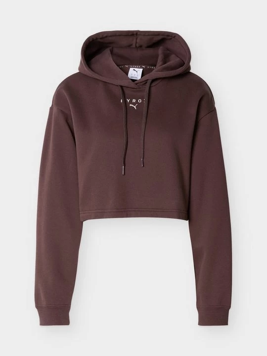 Foto van product Hoodie Puma bruin