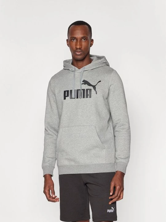Foto van product Hoodie Puma grijs