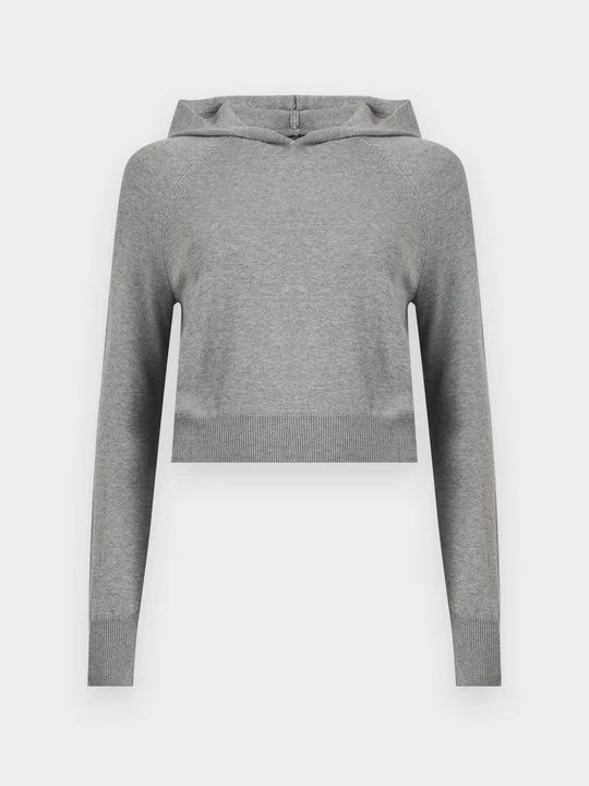 Foto van product Hoodie Replay grijs