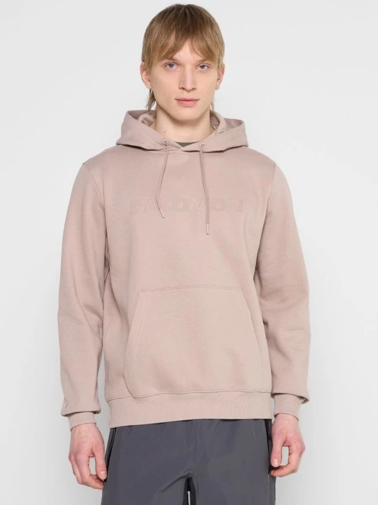 Foto van product Hoodie Salomon beżowy