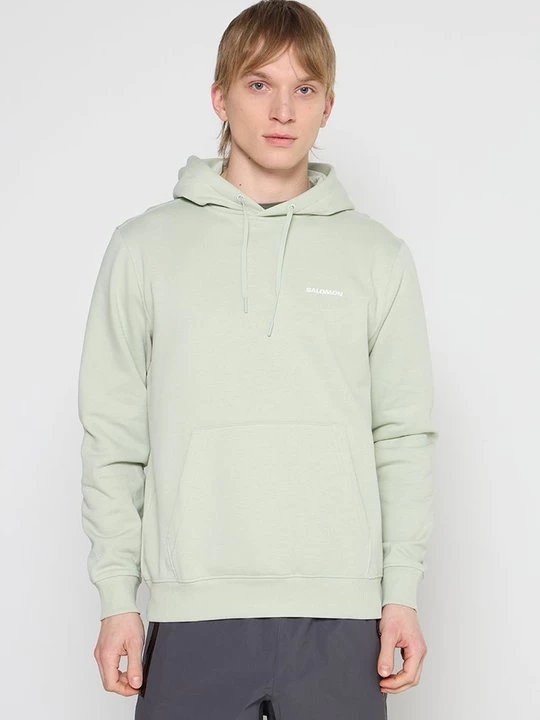 Foto van product Hoodie Salomon groen gemêleerd