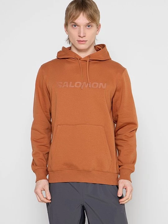 Foto van product Hoodie Salomon tan