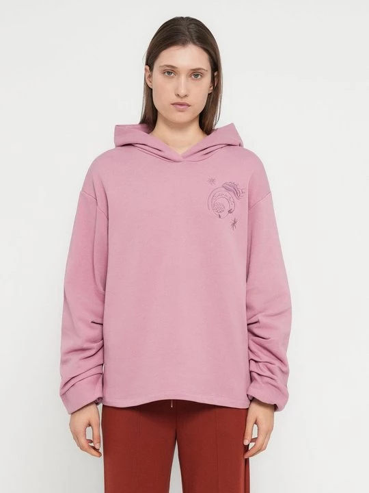 Foto van product Hoodie Scotch & Soda donkerroze