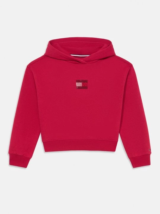Foto van product Hoodie Tommy Hilfiger rood