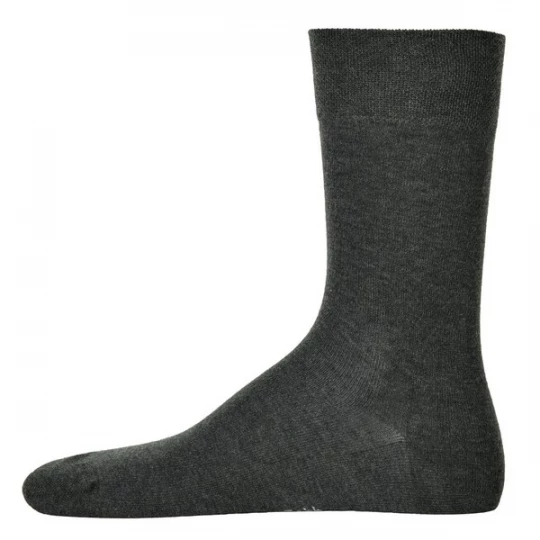 Foto van product Hudson Sokken grijs