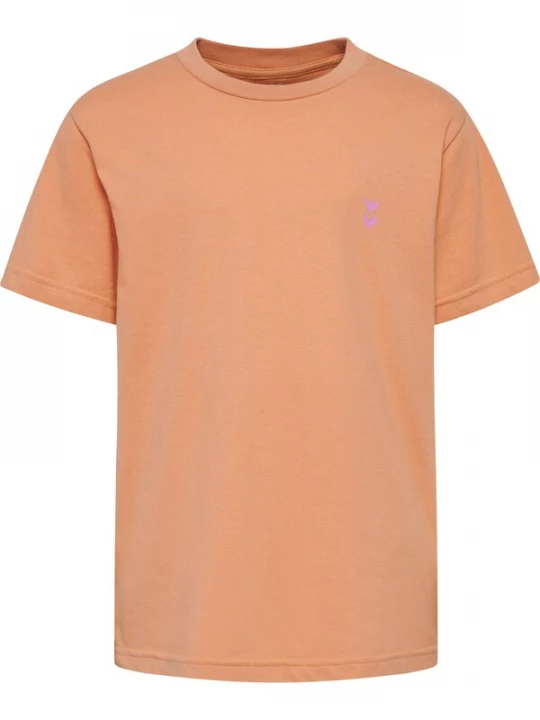 Foto van product Hummel Shirt 'Pulse' mintgroen / lila / oranje
