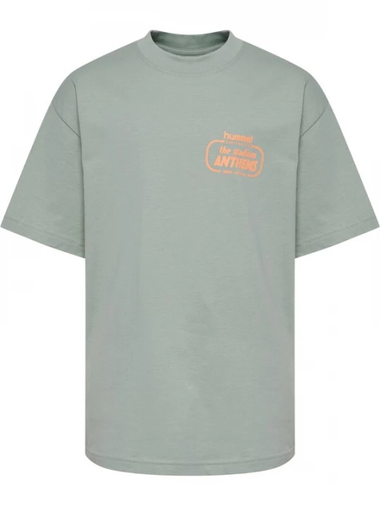 Foto van product Hummel Shirt 'Stadium' pastelgroen / oranje