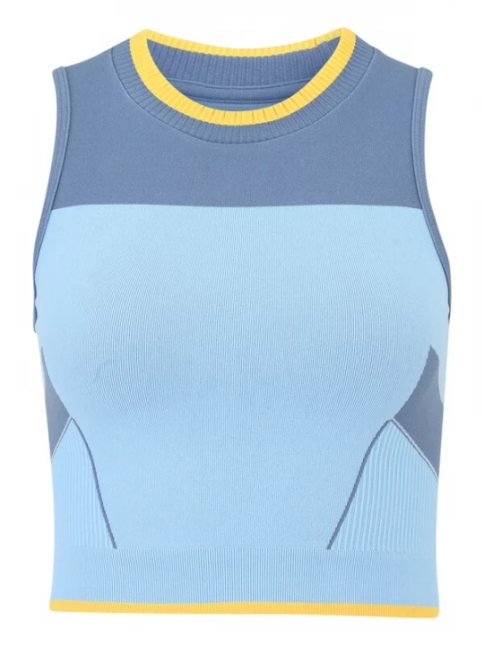 Foto van product Hummel Sporttop smoky blue / lichtblauw / geel