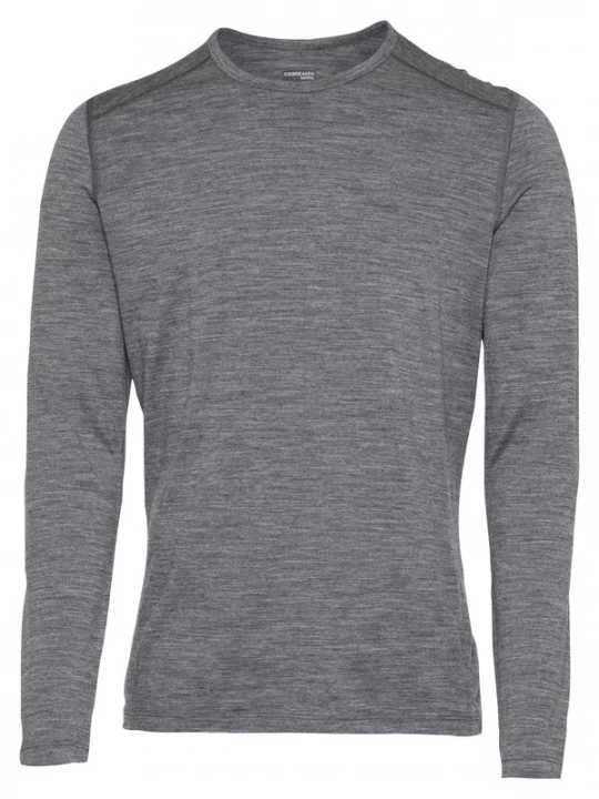 Foto van product ICEBREAKER Functioneel shirt '200 Oasis' stone grey