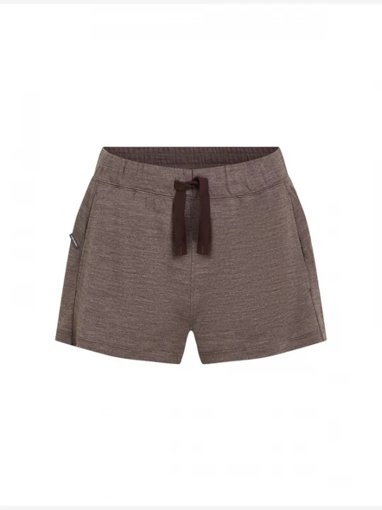 Foto van product ICEBREAKER Outdoorbroek 'Crush II' chocoladebruin