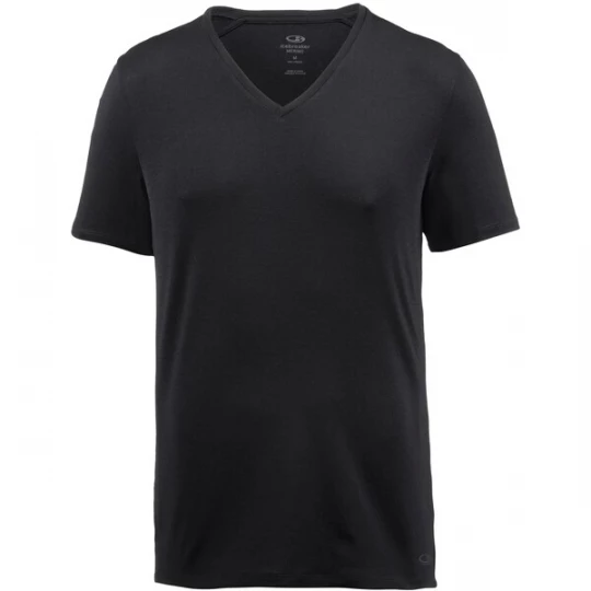 Foto van product ICEBREAKER Shirt 'Anatomica SS' zwart