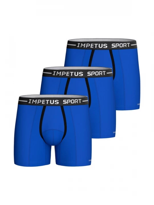 Foto van product IMPETUS Boxershorts blauw / wit