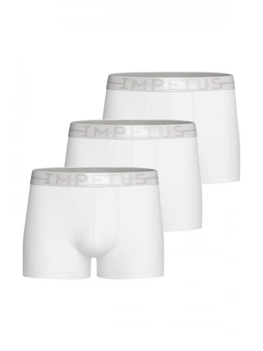 Foto van product IMPETUS Boxershorts zilvergrijs / wit