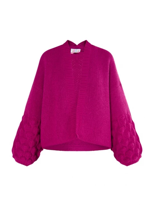 Foto van product IZIA Gebreid vest bessen
