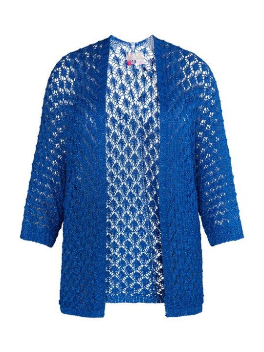 Foto van product IZIA Gebreid vest blauw