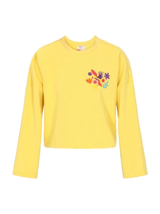 Foto van product IZIA Sweatshirt 'Boho' azuur / citroen / lila / rood