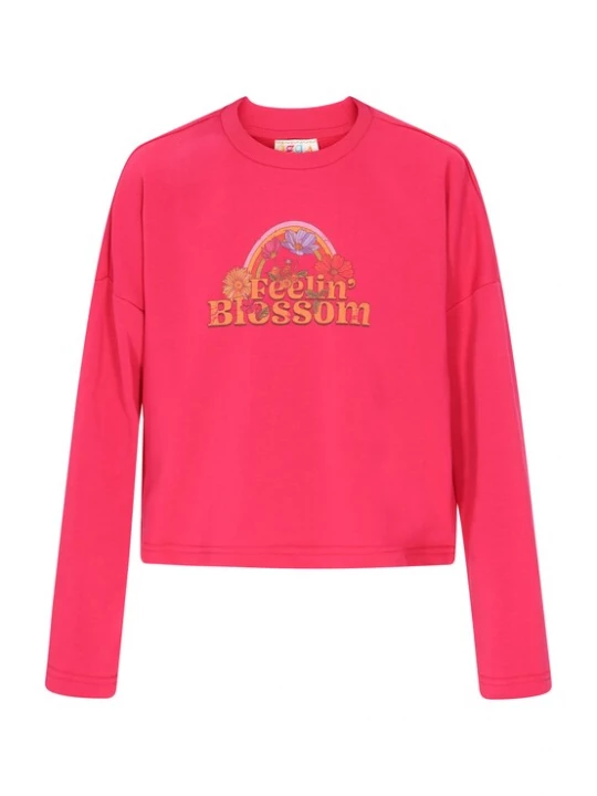Foto van product IZIA Sweatshirt 'Boho' lavendel / oranje / rosa / framboos