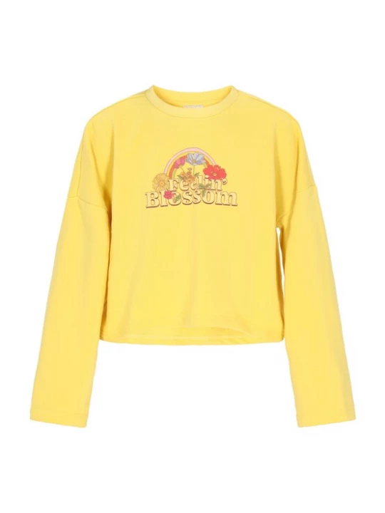Foto van product IZIA Sweatshirt 'Boho' lichtblauw / geel / rosa / rood