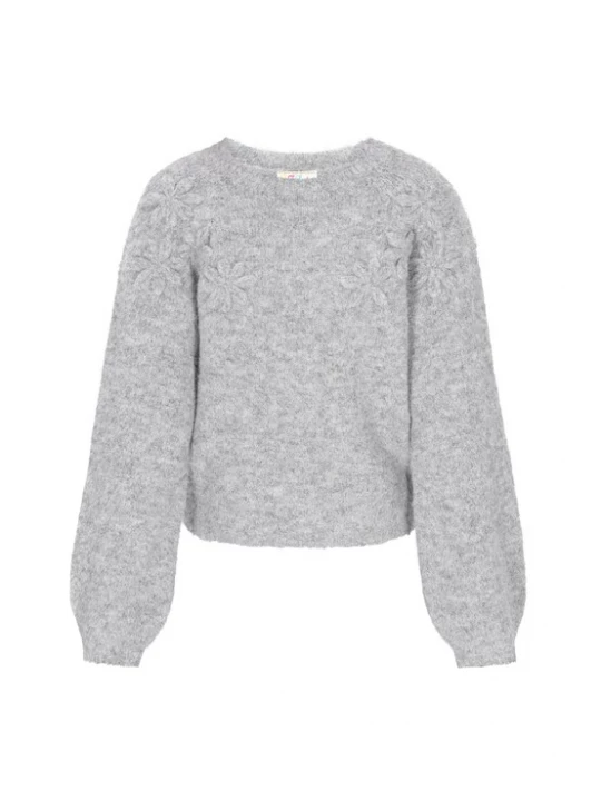 Foto van product IZIA Trui 'Fashion Look' lichtgrijs