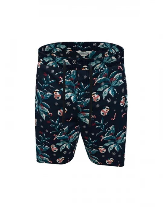 Foto van product JACK JONES Broek 'Jeff' navy / smaragd / rood / wit Jack&Jones