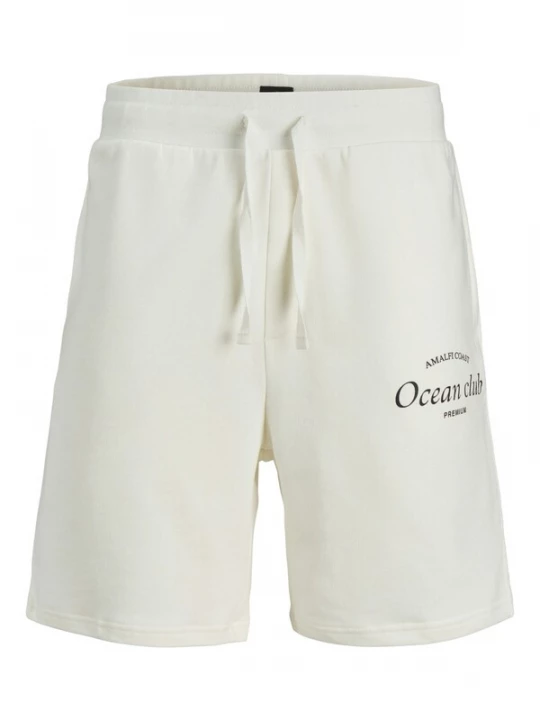 Foto van product JACK & JONES Broek zwart / wit