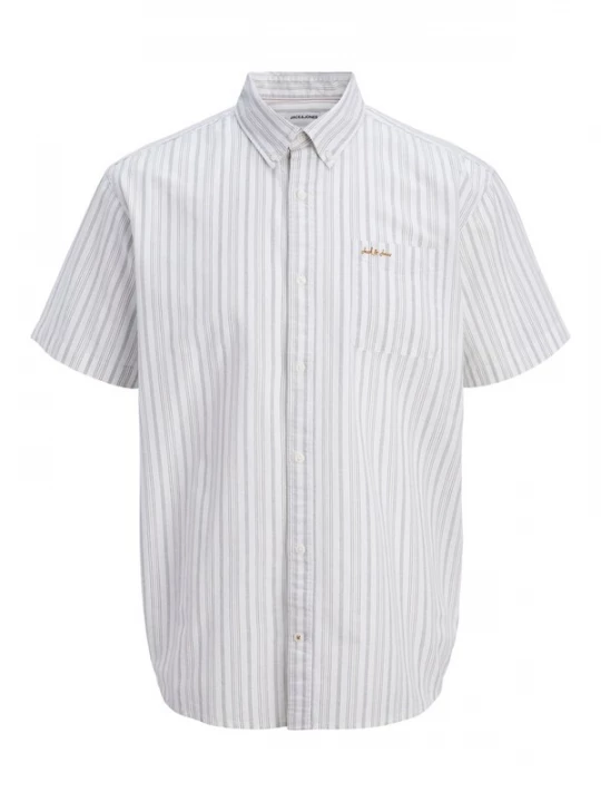 Foto van product Jack & Jones Junior Overhemd 'JJDevin' pastelgroen / wit