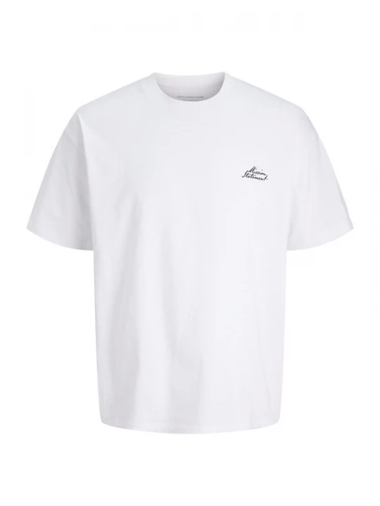 Foto van product Jack & Jones Junior Shirt 'JCODUST' zwart / wit