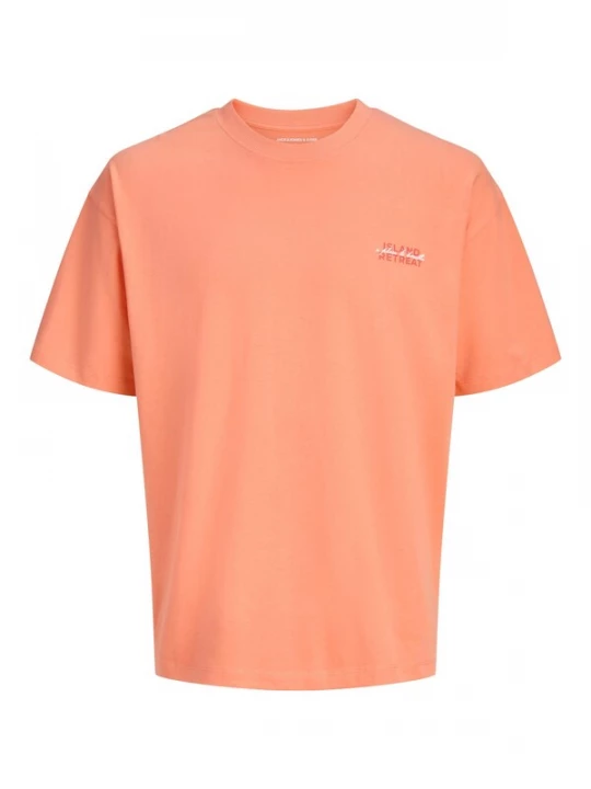 Foto van product Jack & Jones Junior Shirt 'JCOETERNA' oranje / kreeft / wit