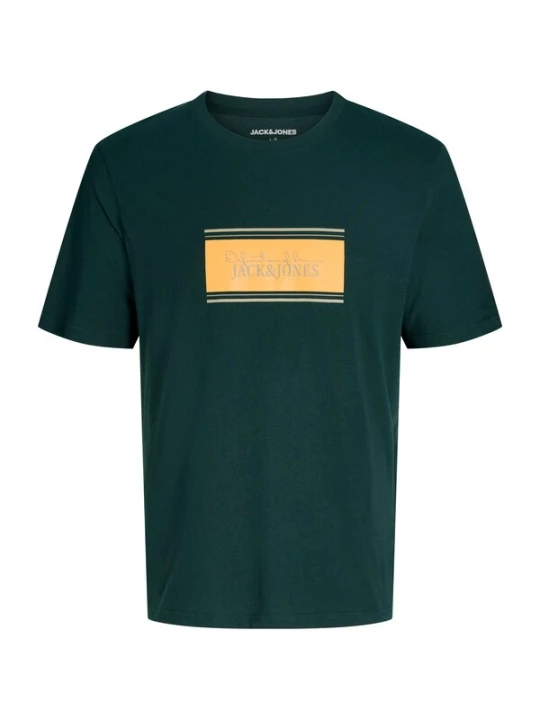 Foto van product Jack & Jones Junior Shirt 'JJBUSTER' taupe / donkergroen / lichtoranje