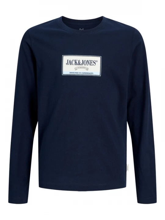 Foto van product Jack & Jones Junior Shirt 'JORFrederiksberg' lichtblauw / donkerblauw / wit