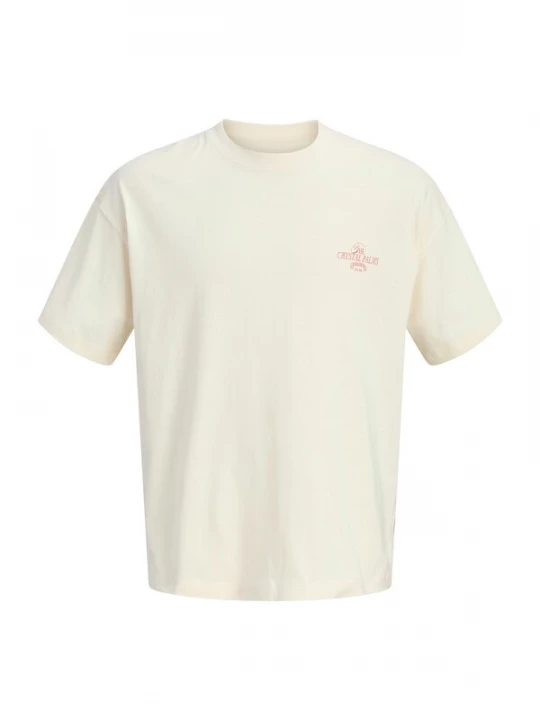 Foto van product Jack & Jones Junior Shirt 'JORSanremo' aqua / rood / zwart / wit