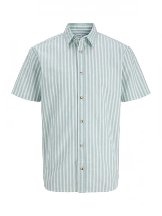 Foto van product JACK & JONES Overhemd 'JJCHAD' mintgroen / zwart / wit