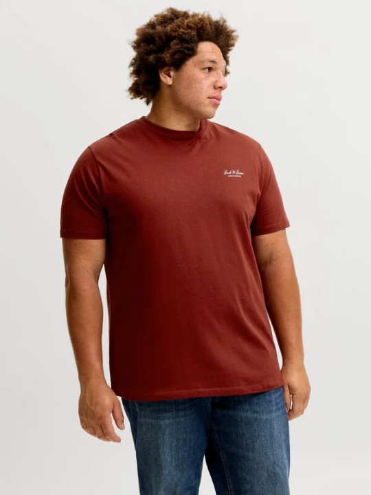 Foto van product Jack & Jones Plus Shirt 'JJEARCHIVE' bloedrood