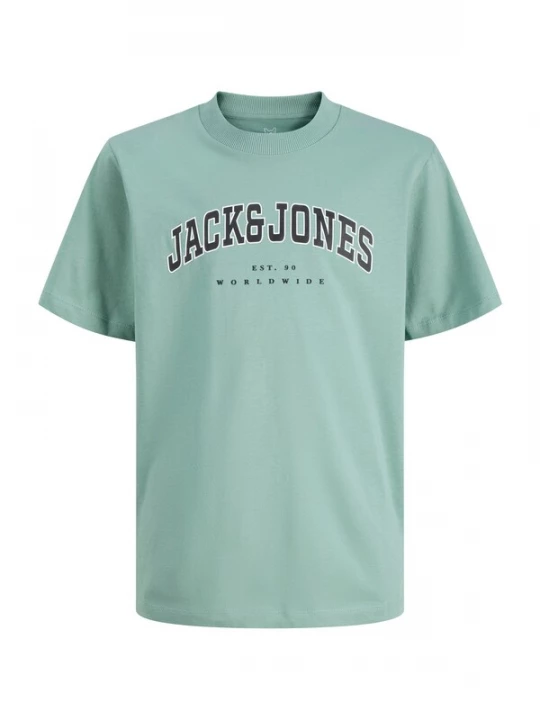 Foto van product Jack & Jones Plus Shirt 'JJECaleb' pastelgroen / zwart / wit