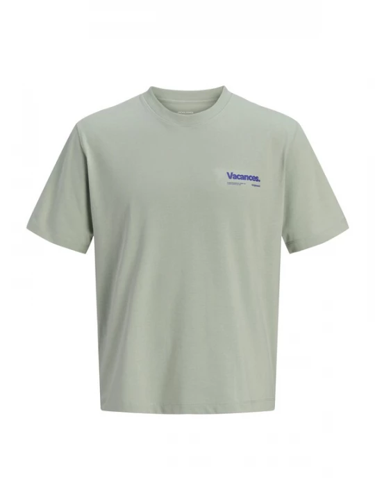 Foto van product JACK & JONES Shirt enziaan / groen / pastelgroen / offwhite