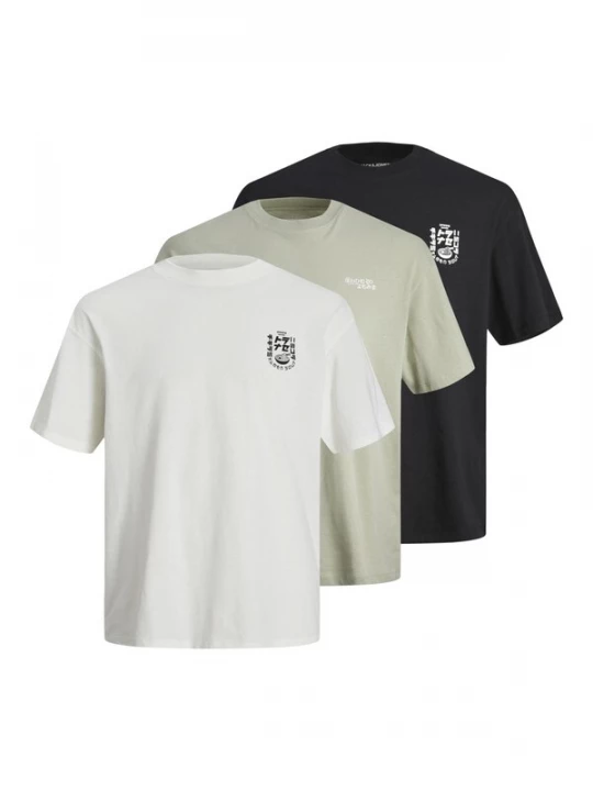 Foto van product JACK & JONES Shirt 'JJDirk' pastelgroen / zwart / wit