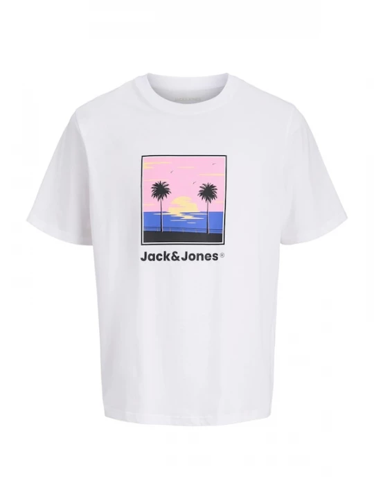 Foto van product JACK & JONES Shirt 'JJPERRY' blauw / lichtroze / zwart / wit