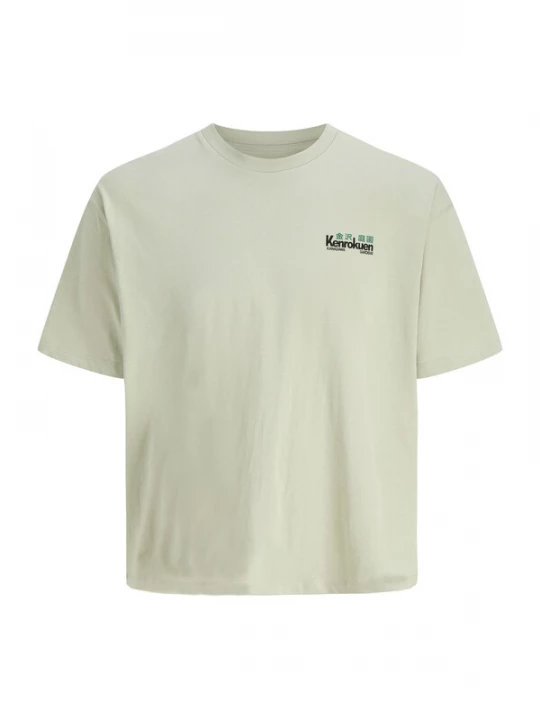 Foto van product JACK & JONES Shirt 'JORKen' groen / pastelgroen / zwart / wit