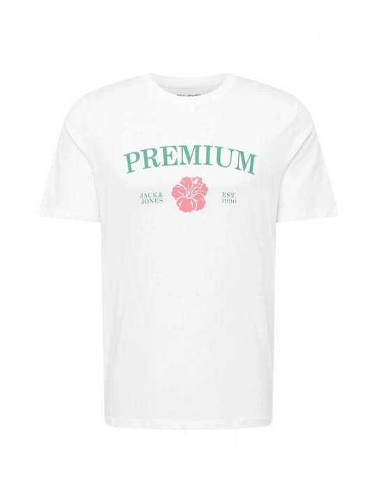 Foto van product JACK & JONES Shirt 'JPRBLAAlfie' jade groen / cranberry / wit