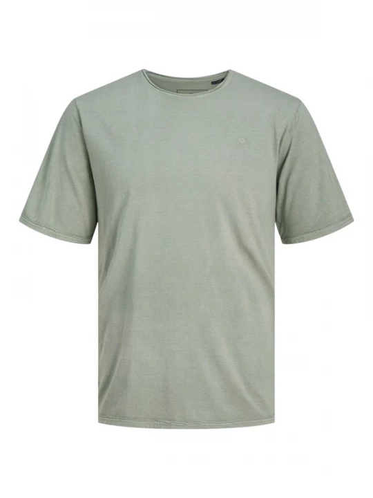 Foto van product JACK & JONES Shirt 'JPRBlurydes' pastelgroen